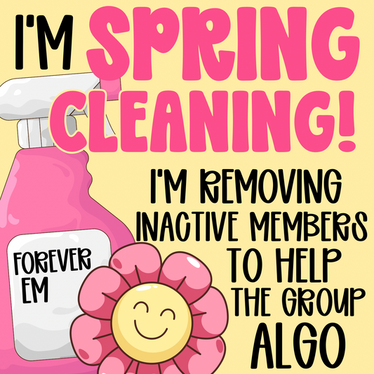 Individual Spring cleaning Graphic