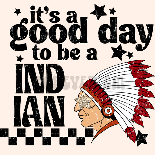 It’s a good day to be a indian png