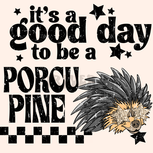 It’s a good day to be a porcupine png