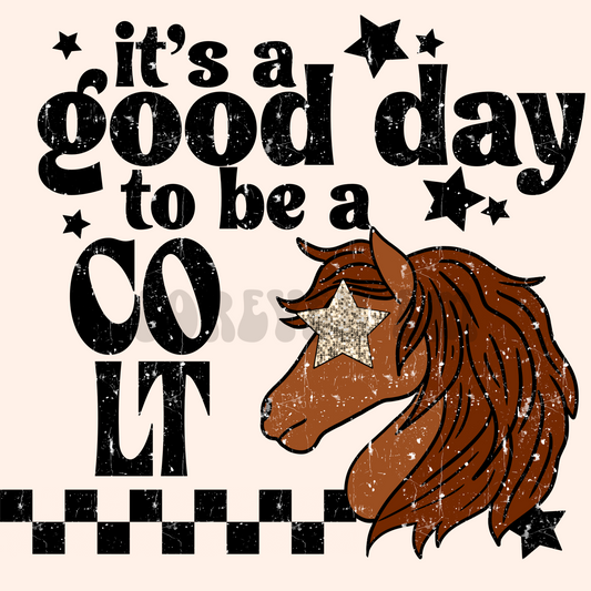 It’s a good day to be a colt png