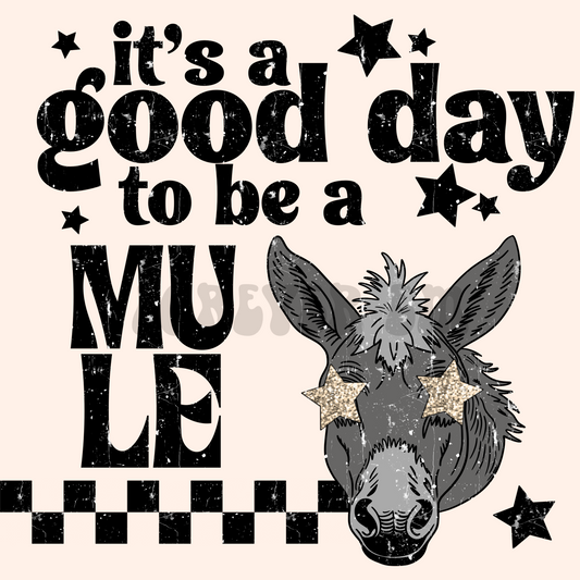 It’s a good day to be a mule  png
