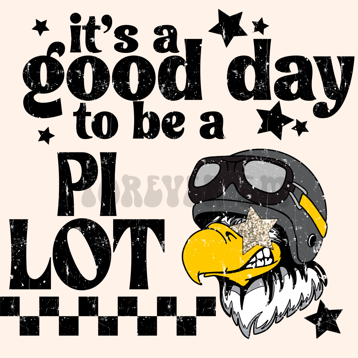 It’s a good day to be a pilot  png